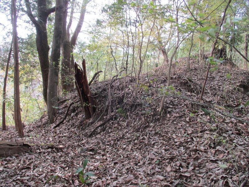 File:AsukeNarusejou (6).jpg