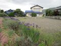 Thumbnail for version as of 15:50, 26 May 2021