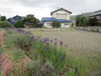 AzumiShibutamiYakata (1).JPG
