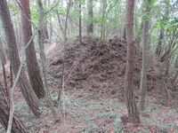 ChikumaYamazakiToride (1).JPG