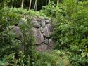 Fushimi50.jpg