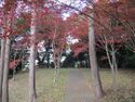 HazuTerabejou (20).jpg