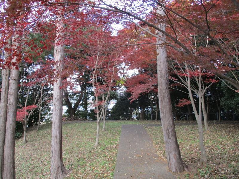 File:HazuTerabejou (20).jpg