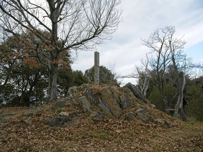 File:Iimori63.jpg