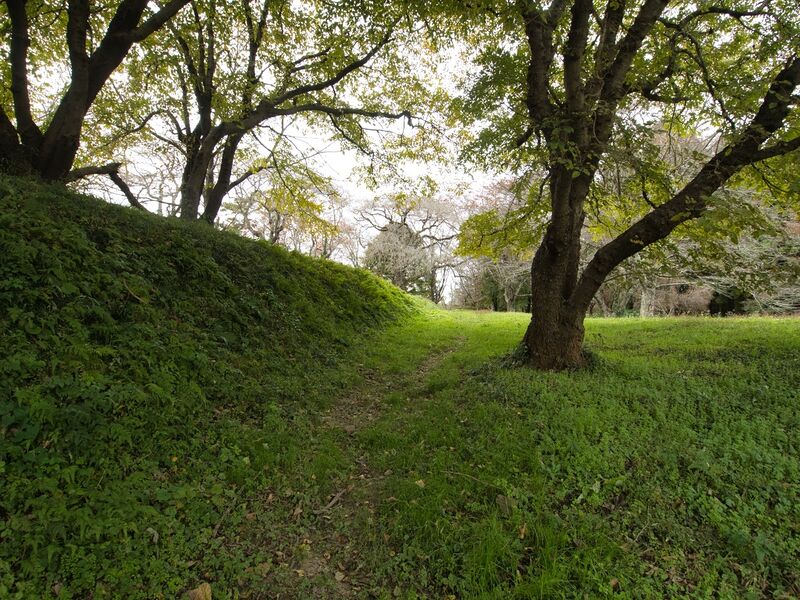 File:Iwakiri20.jpg