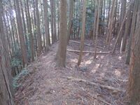 Kabutojou010.jpg