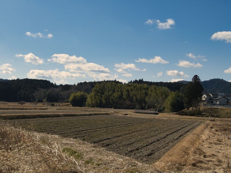 File:Kokashingushi33.jpg