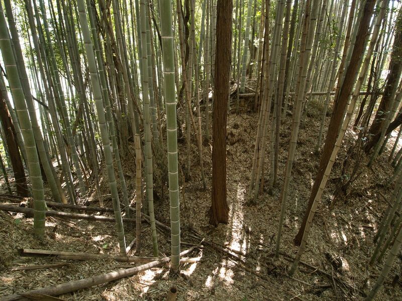 File:Shimoyamakita14.jpg
