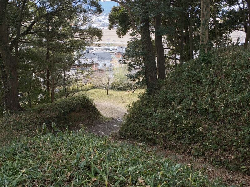 File:Tamaru2025 13.jpg