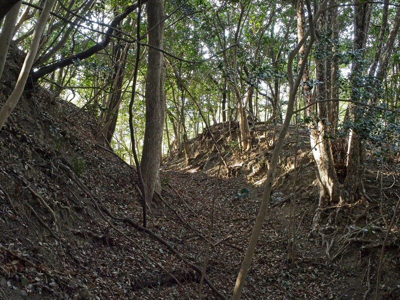 File:Tedori34.jpg