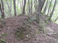 YakyuuToride (2).jpg