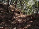 Yamana20.jpg