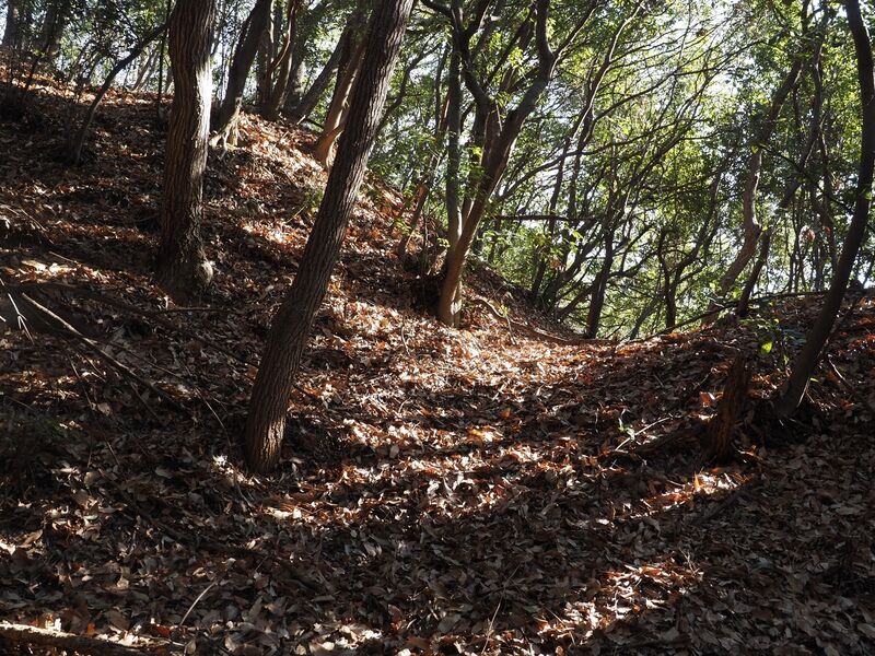 File:Yamana20.jpg