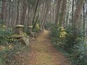 Azuchi east44.jpg