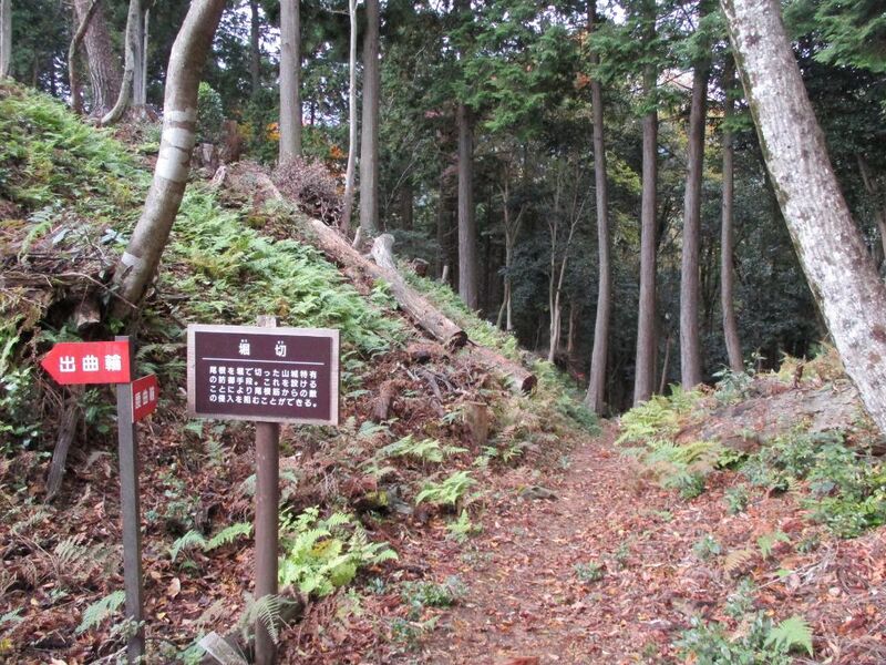 File:Bodaiyamajou 006.jpg