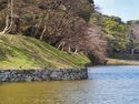 Hikone70.jpg