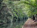 Himejimiddlemoat34.jpg