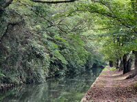 Himejimiddlemoat34.jpg