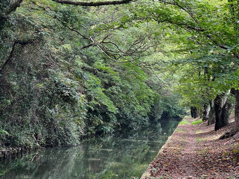 File:Himejimiddlemoat34.jpg