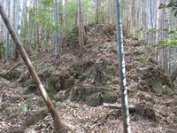 KagohanaToride004.jpg