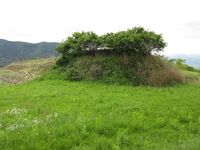 KaiNakamakijou (1).JPG