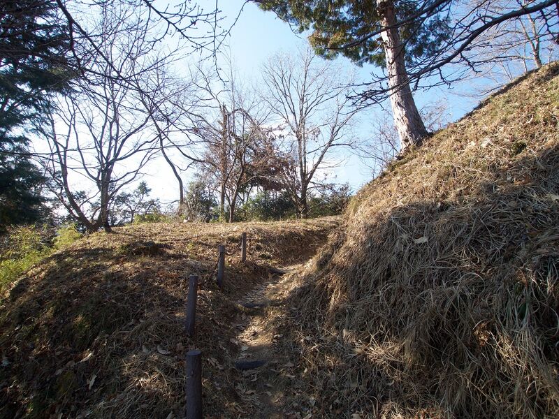 File:Katsuyamatsuru7.jpg