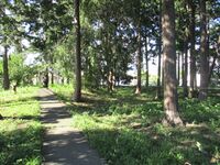 MinamotoYoshikiyoYakata (15).JPG
