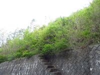 NagasakaueToride (5).JPG