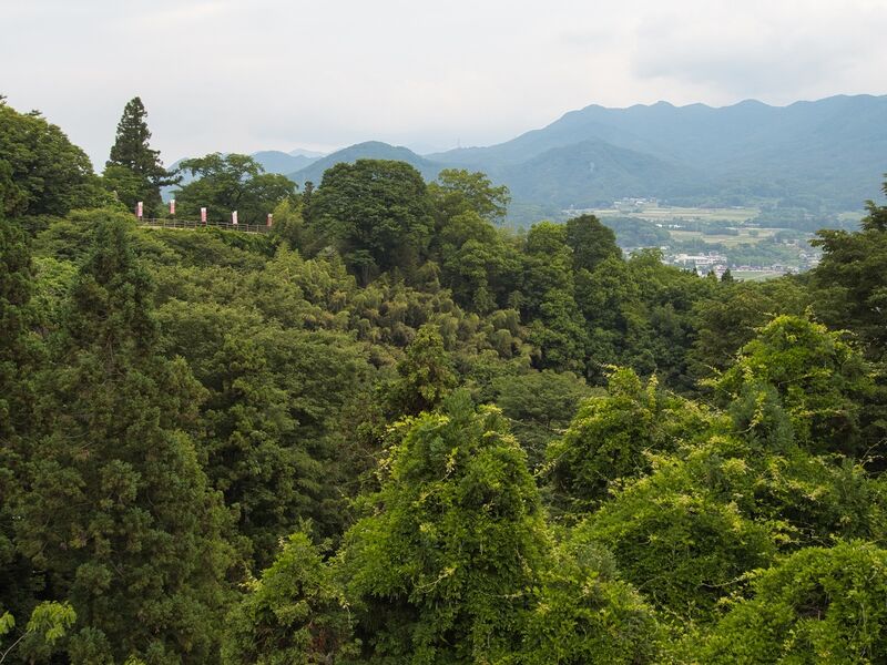File:Nagurumi48.jpg