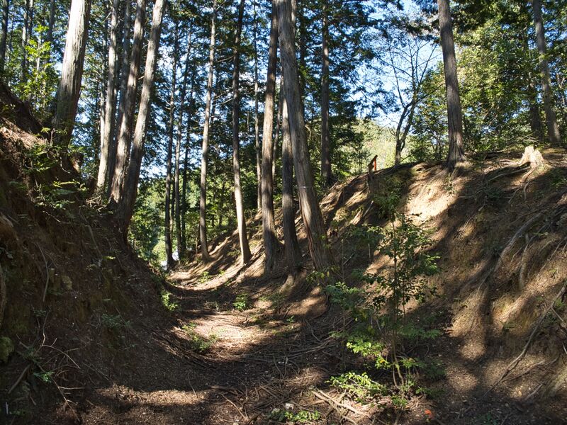 File:Nogeyakata5.jpg