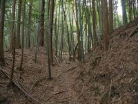 Ogawanishinokoka29.jpg