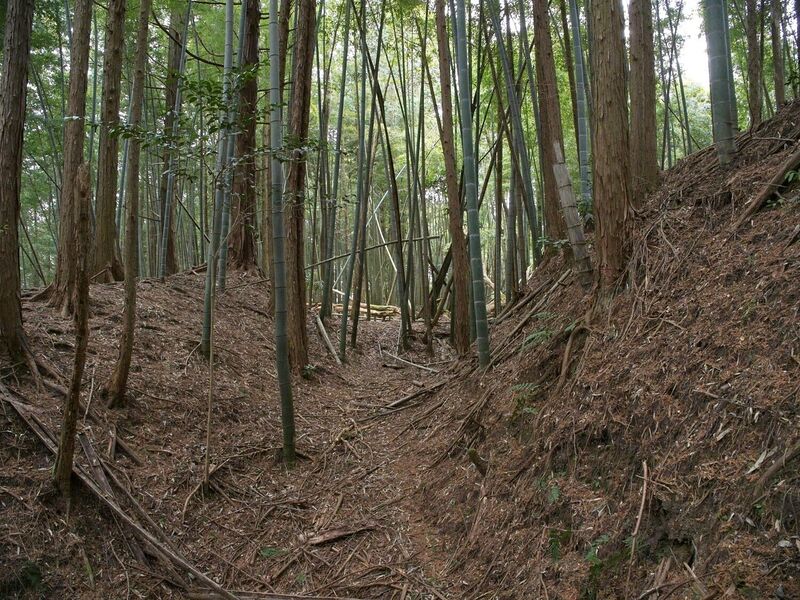 File:Ogawanishinokoka29.jpg