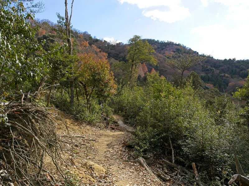 File:Ohyamadejiro29.jpg