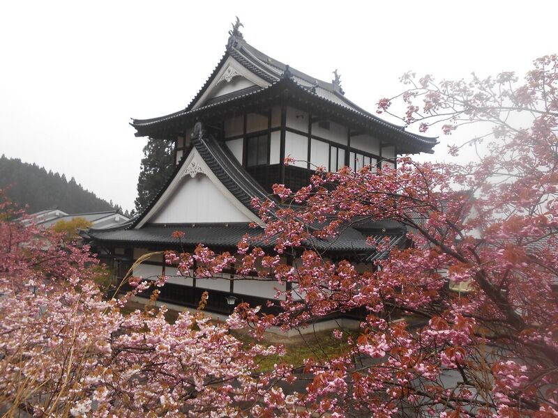 File:PseudoGotenKameda.jpg