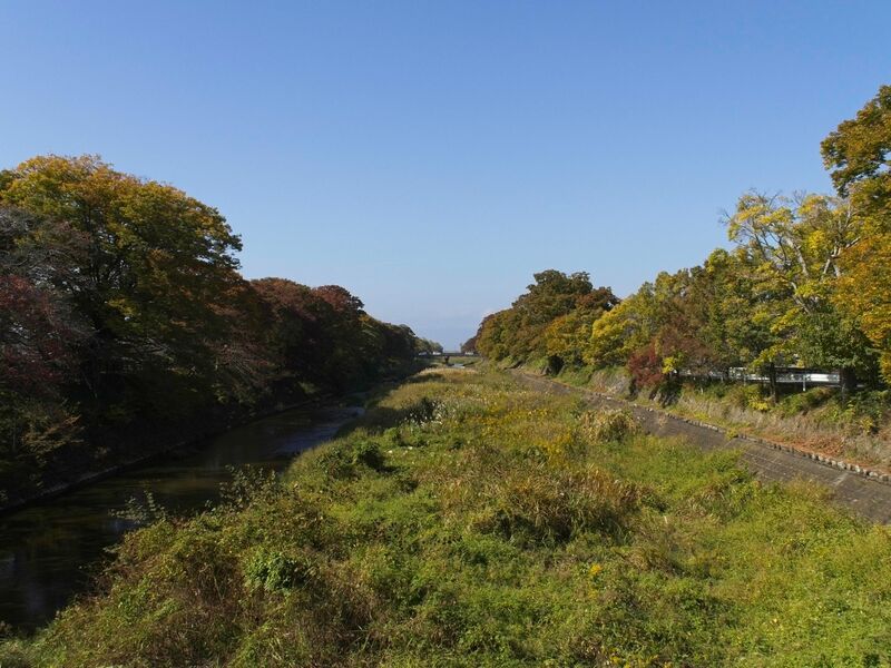File:Serikawahikone2.jpg