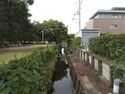 Sotoborihikone3.jpg
