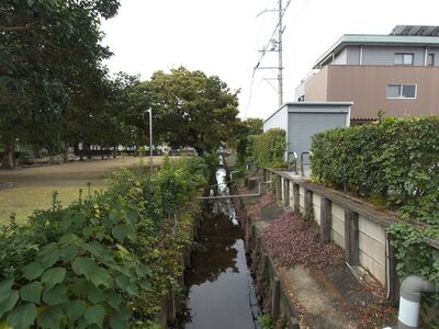 Sotoborihikone3.jpg