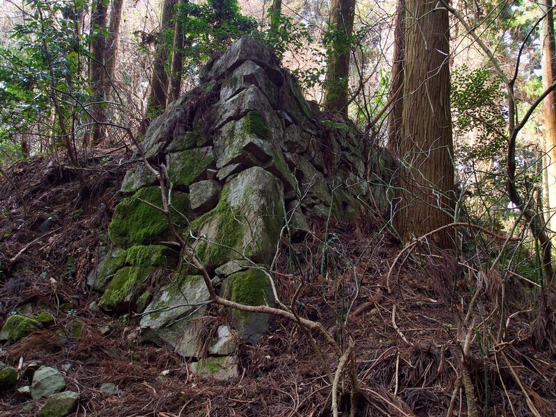 File:Takatori134.jpg