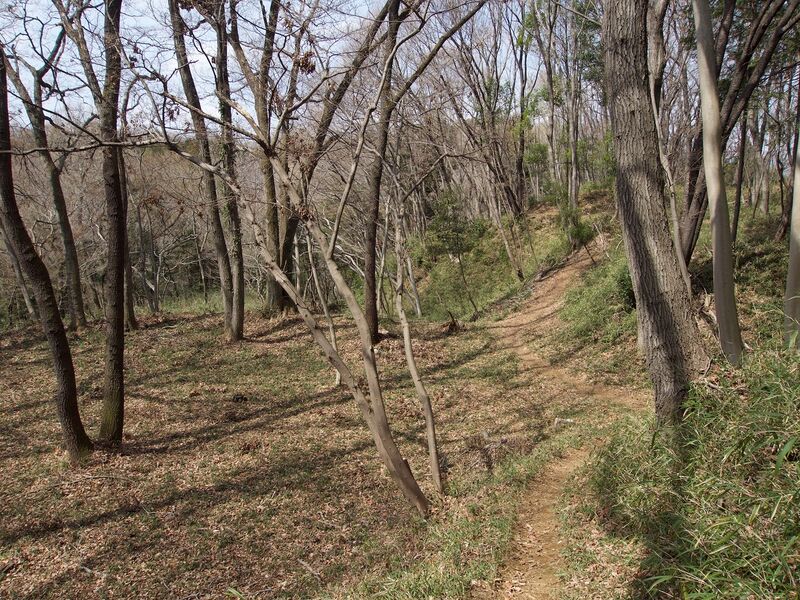 File:Takiyama59.jpg