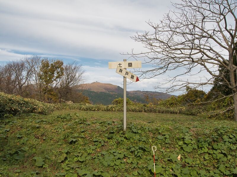 File:Wakimoto32.jpg