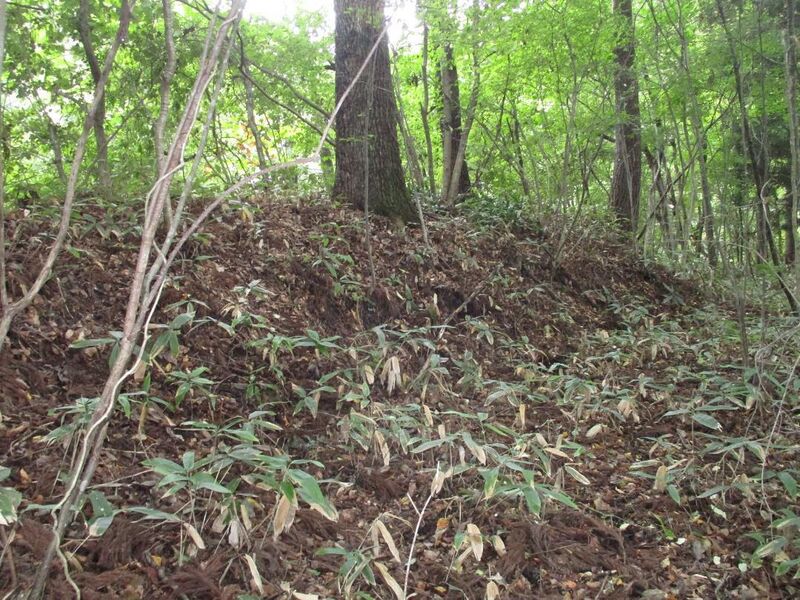 File:Yokosearagamiyamajou (1).jpg
