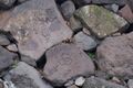 Thumbnail for version as of 22:53, 22 March 2021