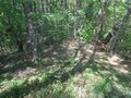 Thumbnail for version as of 09:06, 29 May 2021