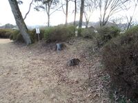 InaSuzuokajou (21).JPG