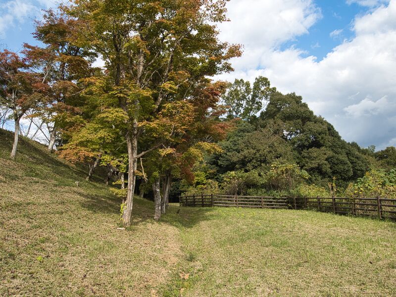 File:Izaki16.jpg