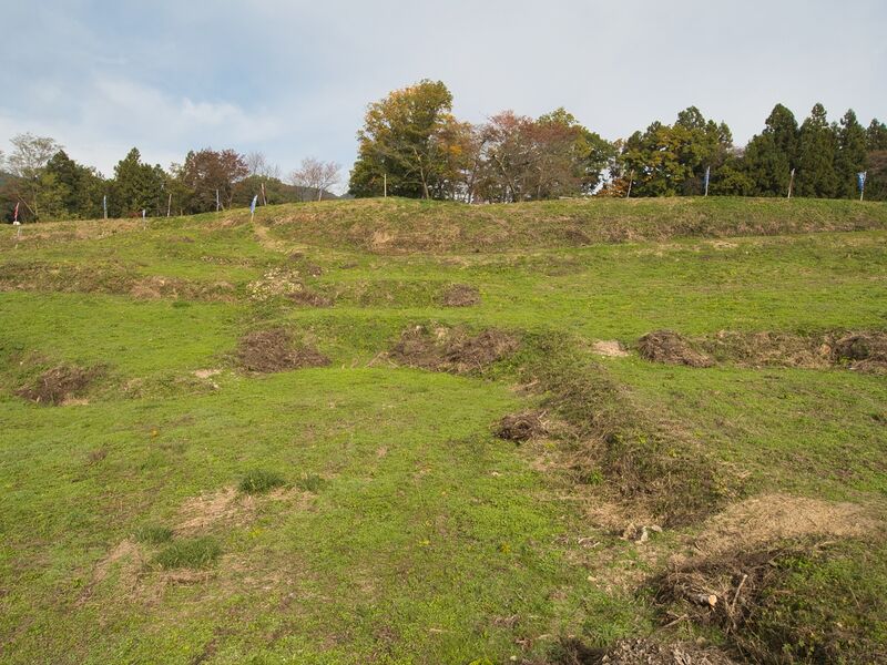 File:Koori8.jpg