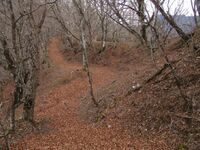 MisakajouB (2).jpg