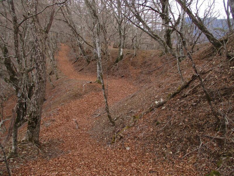 File:MisakajouB (2).jpg