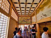 Nagoya palace17.jpg