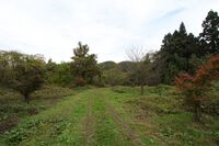 Narisawa6.jpg